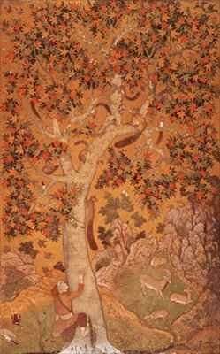 Johnson Album I No 30 Squirrels on a plane tree Mughal by Baroque