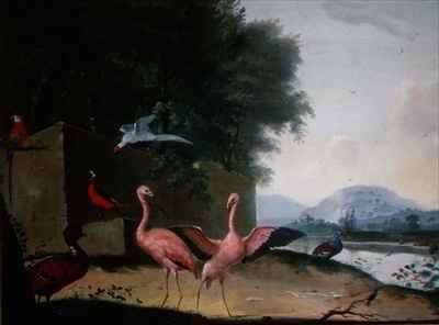 An Assembly of Exotic Birds, Including Flamingoes, Parrots and a Lady Amherst Pheasant by Baroque