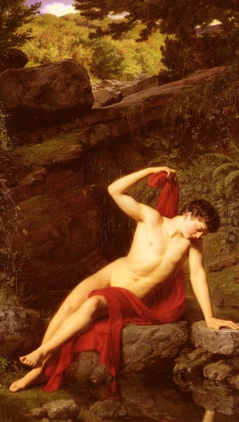Narcissus