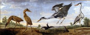 Bitterns, Herons and Water Rails in a Landscape