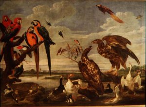 A Crow in Peacocks Feathers