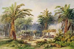 The Fabrication of Palm Oil at Whydah