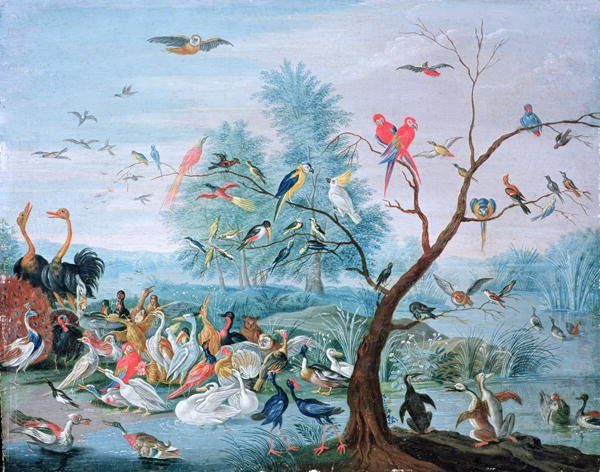 Tropical birds in a landscape
