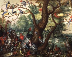 A Family of Owls other Birds and a Cat