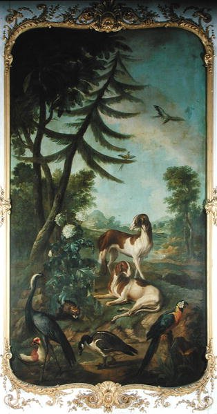 A Macaw a Barbary Duck a Canada Goose a Crane and Two Dogs