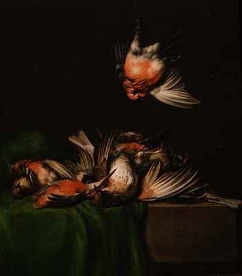 Still life of dead birds