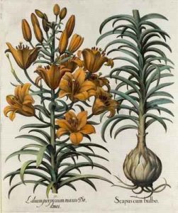 A New Map of the Kingdom of England and the Principalitie of Wales