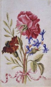 Tagetes Rose and Hyacinth